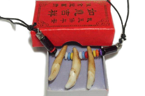 Амулеты и обереги Ожерелье из клыков тибетского волка